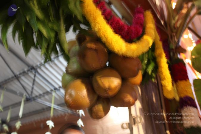 20110303 IMG 0062 CMP WM 0100.jpg