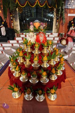 20110303 IMG 0066 CMP WM 0100.jpg