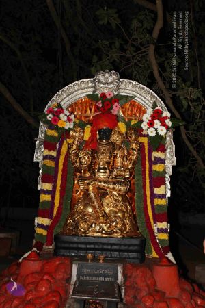 20110303 IMG 9972 CMP WM 00100.jpg