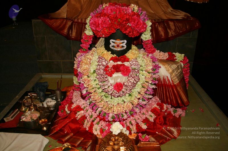 File:20110304 Photo 1010 1sC3zgWD8b0vWSqqZd8s3l335DwmbqS5y.JPG