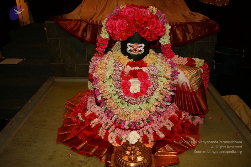 File:20110304 Photo 1015 18tXxFfuMdwokQmYi2pzg-a5WU8mmLfi1.JPG