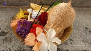 20110316 Photo 1014 1xuX-N iEWM89086WC0 dp4qsTNX40JUX.JPG