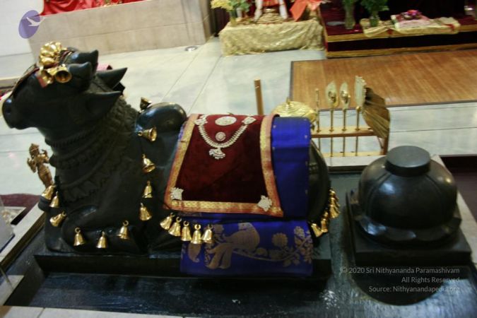 20110409 Photo 1019 1t2ynwBDBjQoao0kaIPsMgCBZX5VcaA1b.JPG