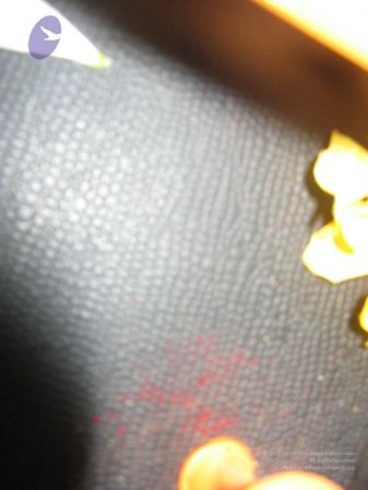 20110411 Photo 1000 137I4qbcRViT7qISnWrtd14dTNwYmGYEe.JPG