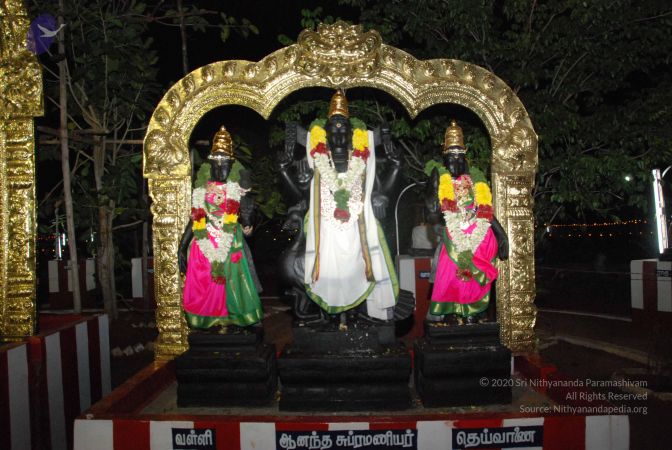 20110417 Photo 1040 15HeUA8MxOP7Wk69wro2n 2- DuFWwTfk.JPG