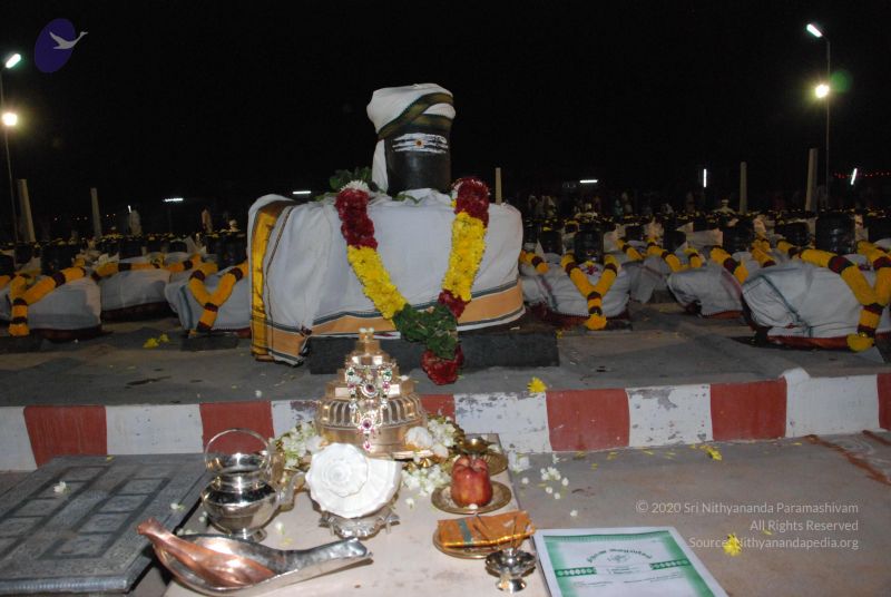 File:20110417 Photo 1481 1iFfDcHdfMobgxGqP6FMmr6kOB7hgVeh-.JPG