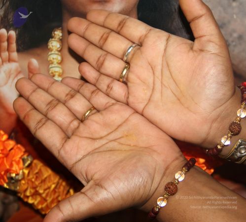 20110515 Photo 1000 1Cdtpl8u4gk28sSWmit-Nvtqg6wbRK06L.JPG