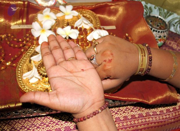 20110528 Photo 1000 1PGYxjGDtqWddcbsb9zemFq85IQ6fYVMf.JPG