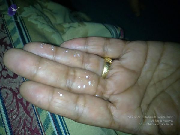 20110528 Photo 1003 1tfHL9lAROt5slLWUtAqLjVWum7c7yinD.JPG