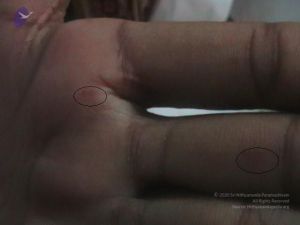 20110528 Photo 1004 1BnDHGLHKjmbMxle7jtTC21VcQdZdLmS4.JPG