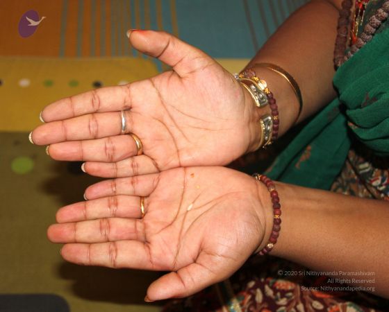 20110529 Photo 1000 12A7H6uplVXTzDvetW3jViy4Ah5zK84ZJ.JPG