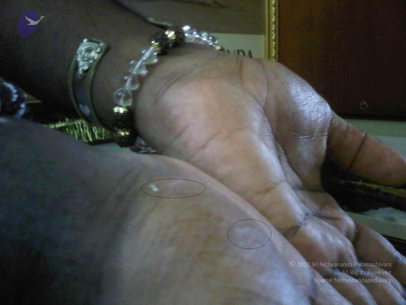 File:20110530 Photo 1002 16WWdY9rrP0L3sWe2Lq iixVvEYQraS8v.JPG