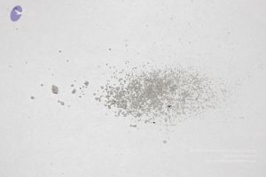 20110530 Photo 1022 104Jy6Q26ZxwhnYazoTuR4A74Hrhmr8jM.JPG