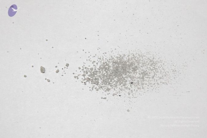 20110530 Photo 1022 104Jy6Q26ZxwhnYazoTuR4A74Hrhmr8jM.JPG