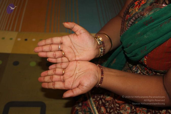 20110531 Photo 1006 1oiA24rMOykH--3yMGhHMNSCtS9aMxOwf.JPG