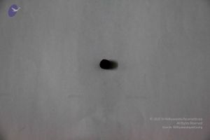 20110602 Photo 1005 10YcxemfSGsxn4AgHk0PN0QCxtdGZsbtD.JPG