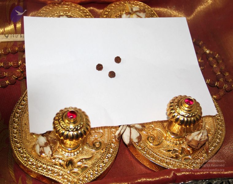 File:20110605 Photo 1006 10xfdJSbdnzNqa6vKOgJobdkfKbdDnNB .JPG