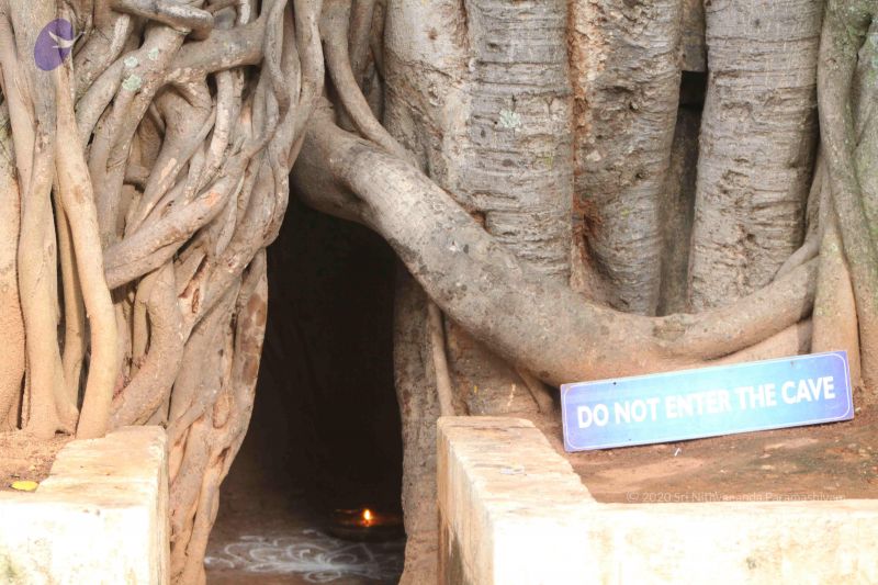 File:20110605 Photo 1027 1kaTr PrxTxWjiQPSCBjPRM-1LeyD4Zah.JPG