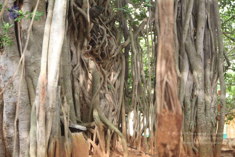 File:20110605 Photo 1028 1Q1vwTnypP0a1Cc3OpS05XJWaWYiqrv3l.JPG