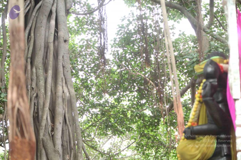 File:20110605 Photo 1029 16EAEzhRgEavYcN6fG95cLwGs2faBB6g7.JPG