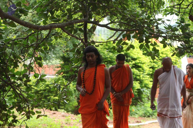 File:20110605 Photo 1036 1zmsherj3Zuk4uY3zCGlW4VEXTOe-KJja.JPG