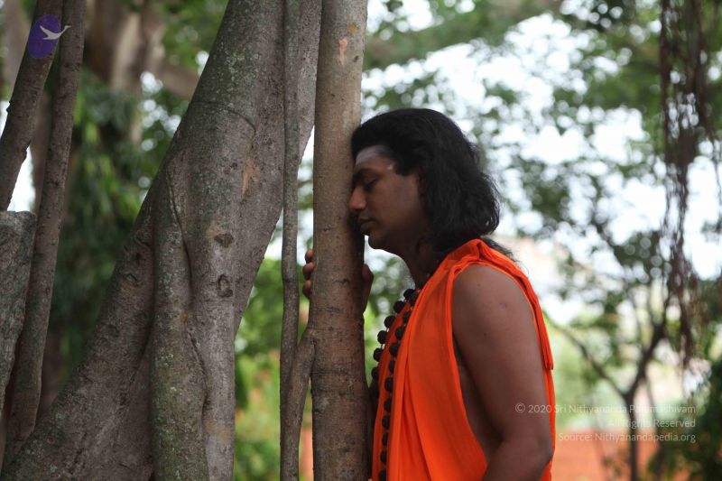 File:20110605 Photo 1039 1kAEZsOoyrENfSy5vMxbghFnFpiwXcLb1.JPG