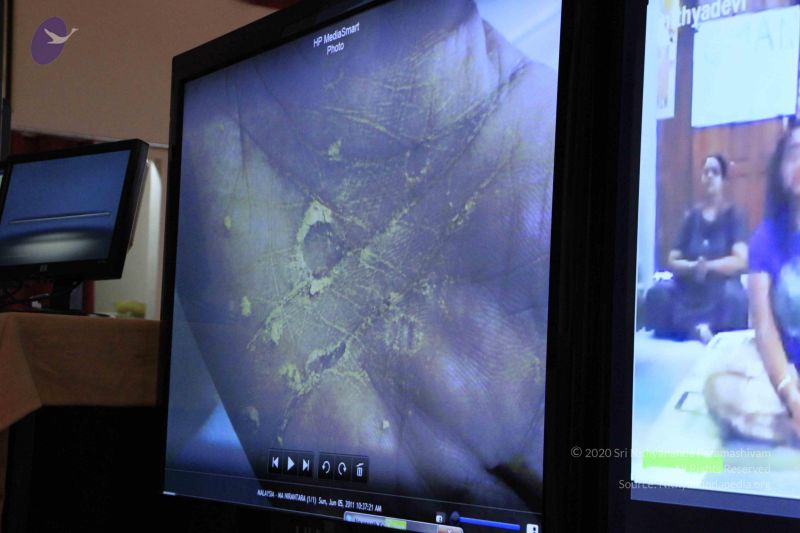 File:20110605 Photo 1229 1AjF8D7C-K5c2DptMctZ6wyloZ2iFwKW5.JPG