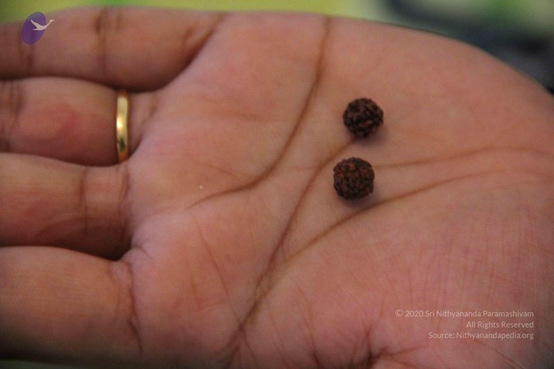 File:20110606 Photo 1005 1SZb3bMulE21UjPadyN3fLCM t5SBd6Dl.JPG