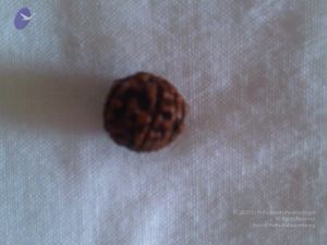 20110608 Photo 1002 1ISwVRbH50lMBLgX735qpOhlPBC1A6gbs.JPG