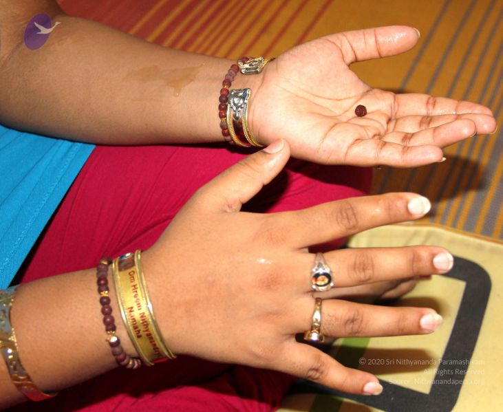 File:20110608 Photo 1003 1r7JwCAqPnDUYobWgPj-rGIXf5S5BRAZx.JPG