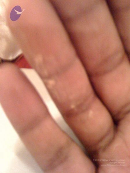 File:20110609 Photo 1003 1RBGgh WL22S-s8DN1JTDPxB7j5tWkjAZ.JPG