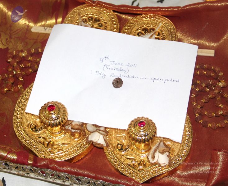 File:20110609 Photo 1008 1VhDe66GjfFROpfvmQY4ekt3cE17AAqpS.JPG