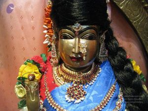 20110609 Photo 1048 1RLh9cHXCRnuO4uvX5a3DLh2UvOfhod2m.JPG