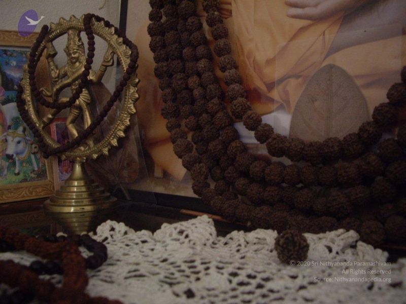 File:20110610 2 CMP WM.jpg