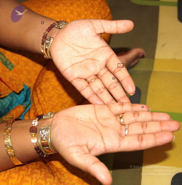 File:20110610 Photo 1006 1H1KfaX X5jJh-1sApNeoUmQ7zd8TXZuL.JPG