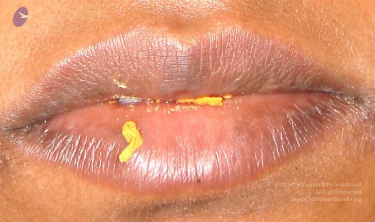 20110611 Photo 1002 1YOU6R8yhA-dPXZogcgnAJ8obR9L8kGTz.JPG