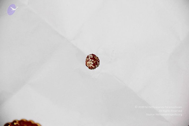 File:20110617 Photo 1000 1FSHJ3K5hjmHxxCA0ABYC4uI1LnwEpjQN.JPG