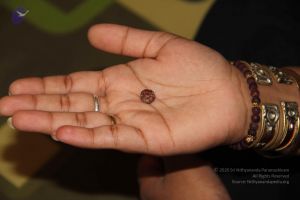 20110617 Photo 1003 1lmZAaAeTfvwmA0ntVq9p6tznh7H piii.JPG