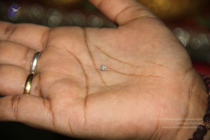 20110618 Photo 1013 1ERQ 8J uslF hGu9sYUikGhsLO1QEUtx.JPG