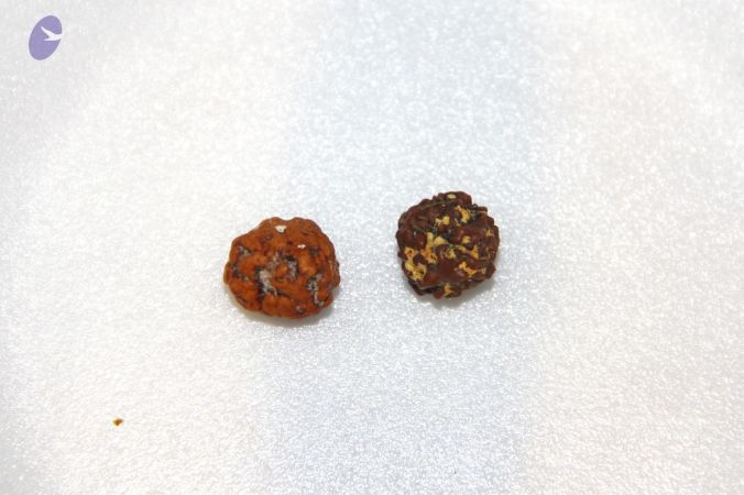 20110619 Photo 1000 1pRQnGu-a5S-YrEO6n47A-ZKF4SjchCVr.JPG