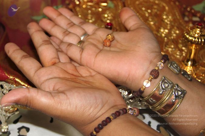 20110619 Photo 1005 1lhxBkaemvLD9S4dyMIJB CMTiK0lPyx7.JPG