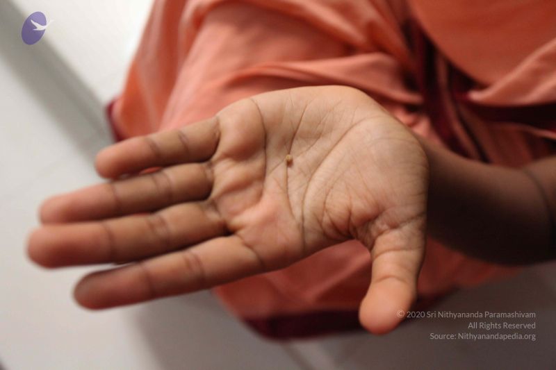 File:20110714 Photo 1013 1Muc3GLMNx5m jMePqbfFfAfmaqSGQgK9.JPG