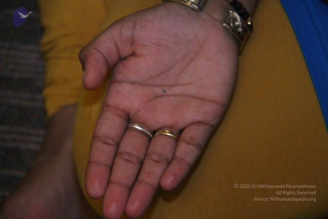 20110715 Photo 1022 1T5cfnhtLRfypjvHlSXkNS1q2ZOmBKxsk.JPG