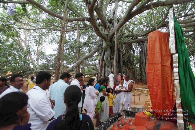 20110715 Photo 1908 1r-Fslt8kmkRjJtV6pztgw1fw2hyUtJL6.JPG