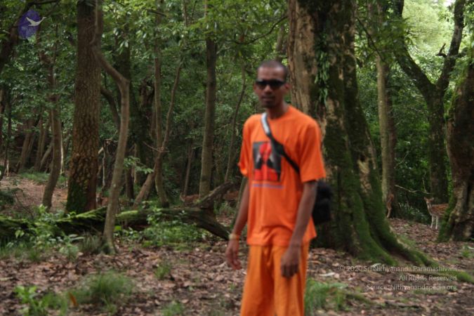 20110726 Photo 1020 1rs06inR1duvididnoNiNQPq2UYV146wO.JPG