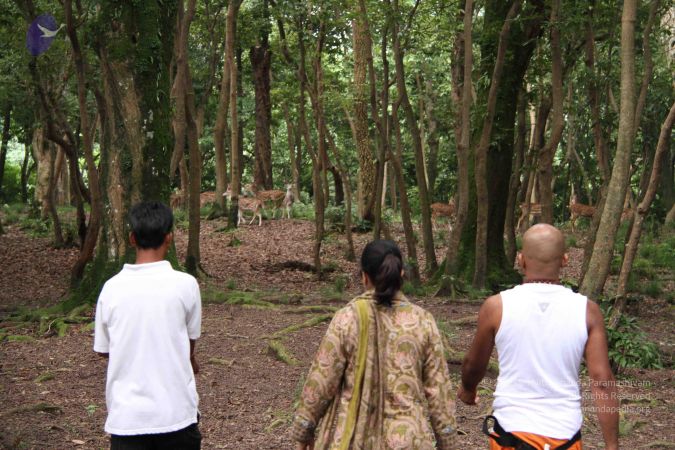 20110726 Photo 1020 1zOAZLE80HMEcGtTlnbTV1quDPoZrXJVr.JPG