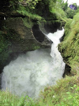 20110728 Photo 1000 1Q6sheSlsGN g8meHRUDZtakNirl9bwPC.JPG