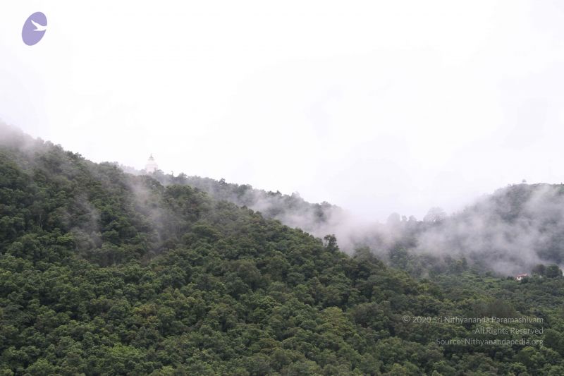 File:20110728 Photo 1125 1DGZ0EUwPU4hk q5CvjDr49S2jmPYq4wV.JPG