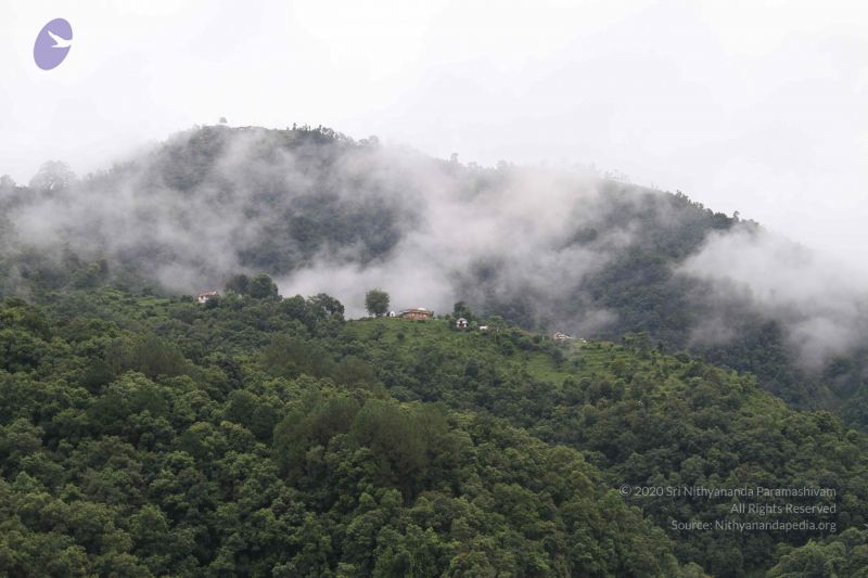 File:20110728 Photo 1126 1249dsXkMBQoF8cU0WGOMkI3goFxWEShQ.JPG