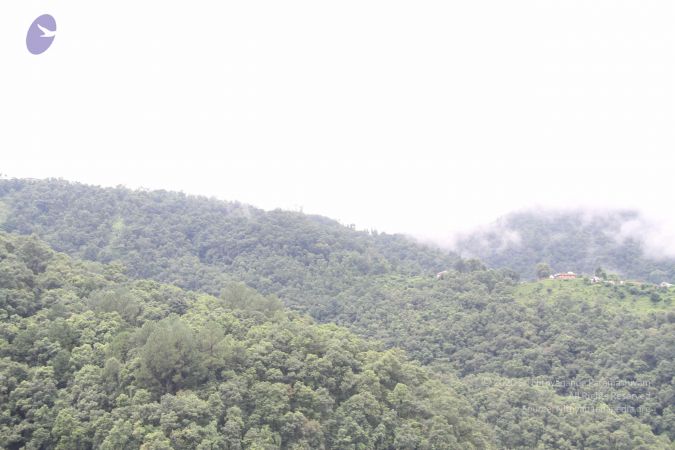 20110729 Photo 1084 11R-3uEK471d9QPe1TGsxqVT-oirJHlWM.JPG